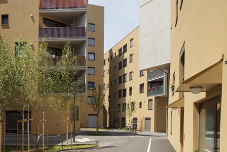 Erster Frühling in der Slim City, Aspern 