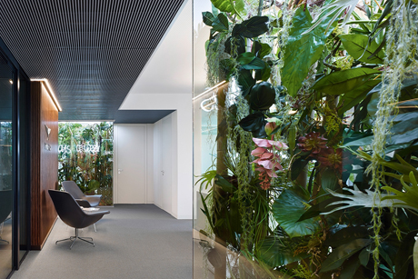 Phoenix Real Estat - Interior Design