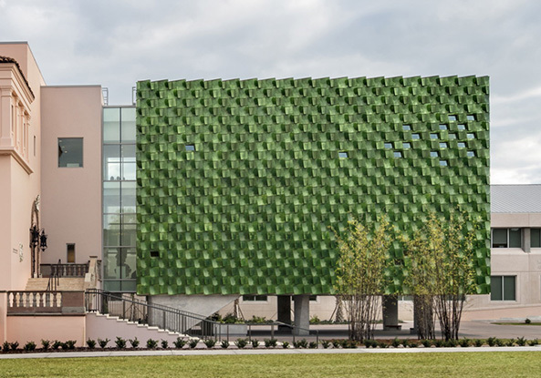 Museum oder Moosflechte