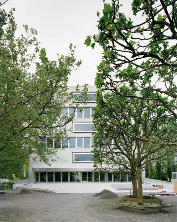 Beton im Moos