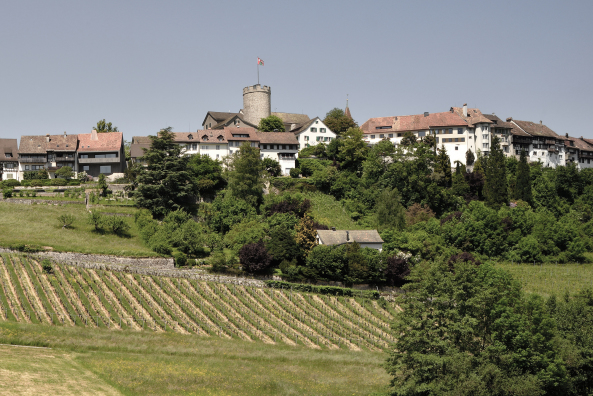 Burg-Ambiente im Kanton Zürich