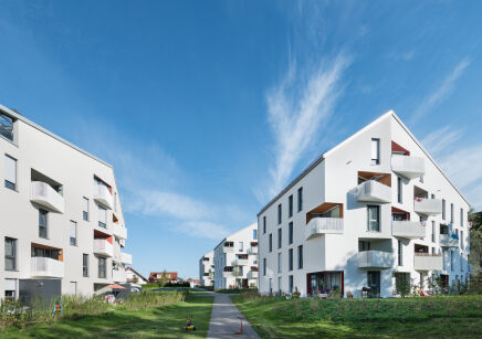 Neubau von 6 Stadthäusern, Wohnbebauung 