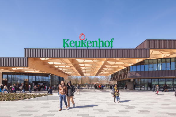 Willkommen bei den Blumenzwiebeln