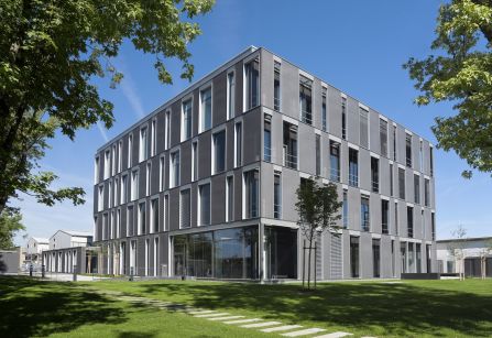 German Mouse Clinic II