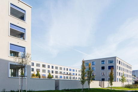 Siedlung Altstattwiese Wil
