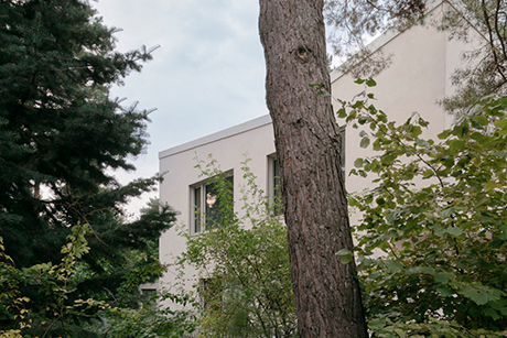 Haus Wald // Der unerwartete Raum