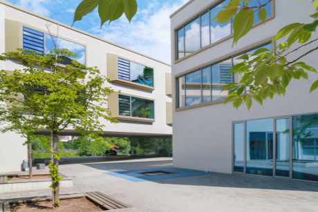Neubau Freihof-Realschule