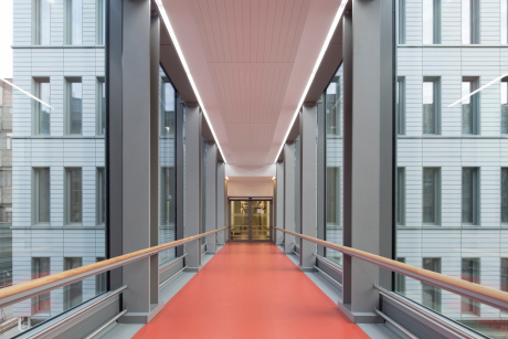 Charité Universitätsmedizin Berlin