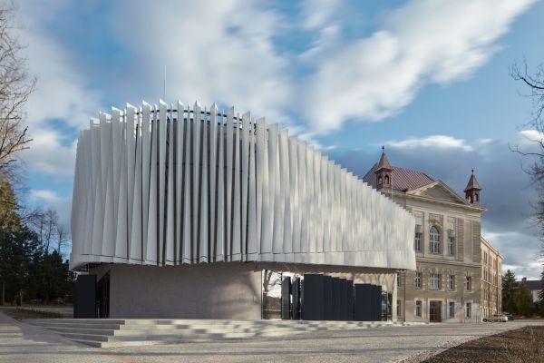 Schwung statt Disziplin