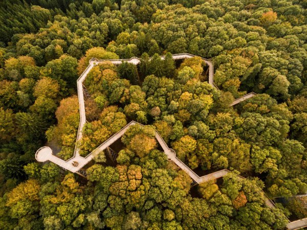 Holzbau fürs Klima