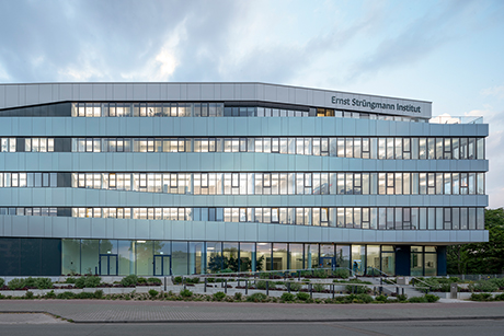 Ernst Strüngmann Institut Frankfurt am Main 