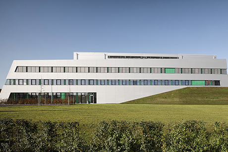 SoN - Center for Soft Nanoscience 