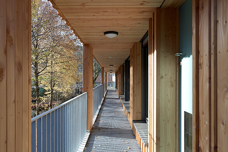 Neubau Arche-Noah-Kindergarten
