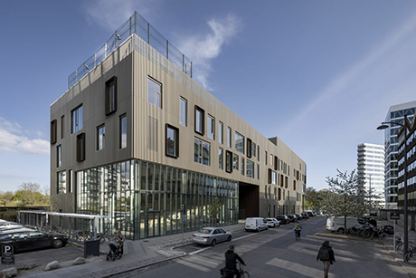 New Islands Brygge School