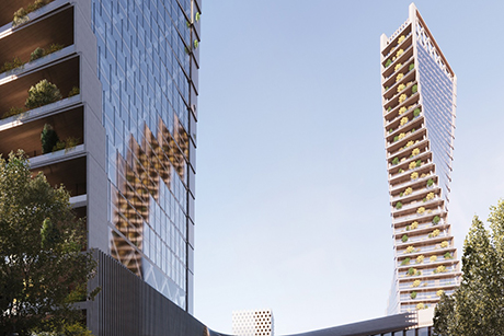 Wuxi Timber Hybrid