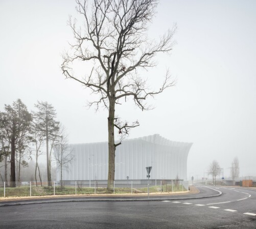 Im Loire-Nebel von Orleans