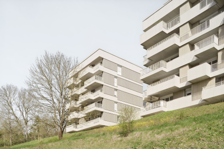 Wohnen auf dem Safranberg, Ulm