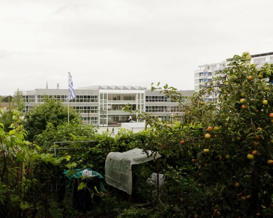 Beschwingte Nüchternheit