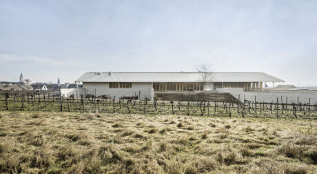 Weingut Gruber Röschitz
