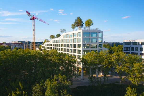 Das Dach als öffentlicher Park