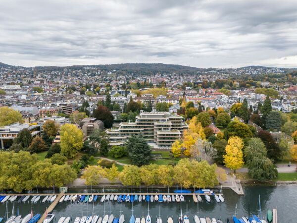 Effiziente Pagode am Zürichsee